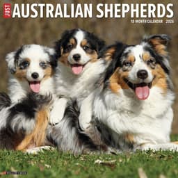 Australian Shepherds Just 2026 Wall Calendar image