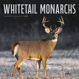 Whitetail Monarchs 2026 Wall Calendar image