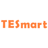 TESmart logo
